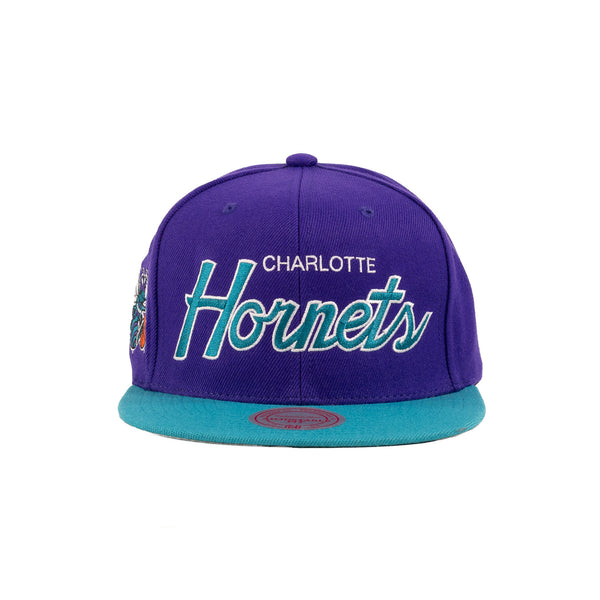 Charlotte Hornets Purple/Turquoise 