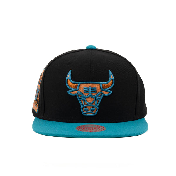 Chicago Bulls Black/Teal 