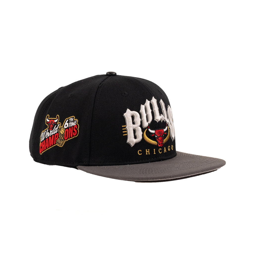 Chicago Bulls Black/Gray | Pro Standard Snapback