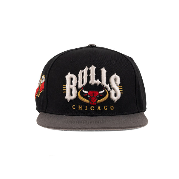 Chicago Bulls Black/Gray | Pro Standard Snapback